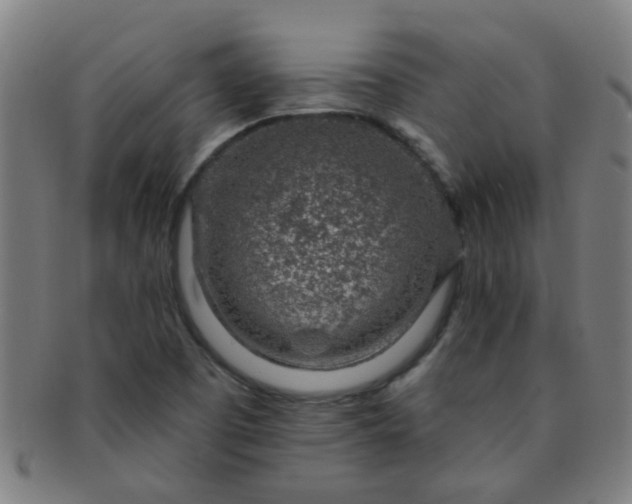 X0000091371457200708241322