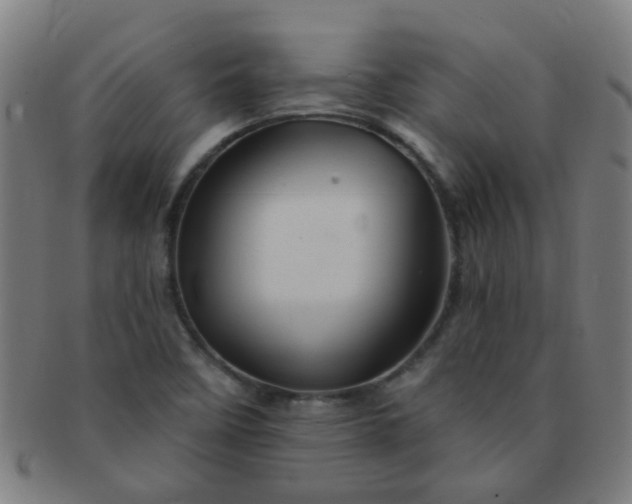 X0000091371458200708241322