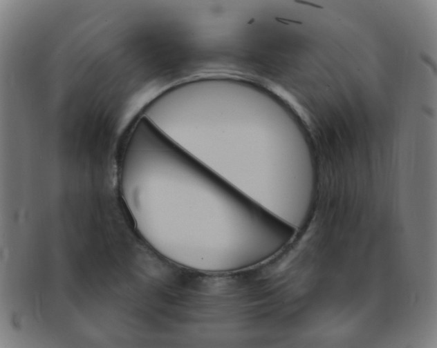 X0000091371461200708241322