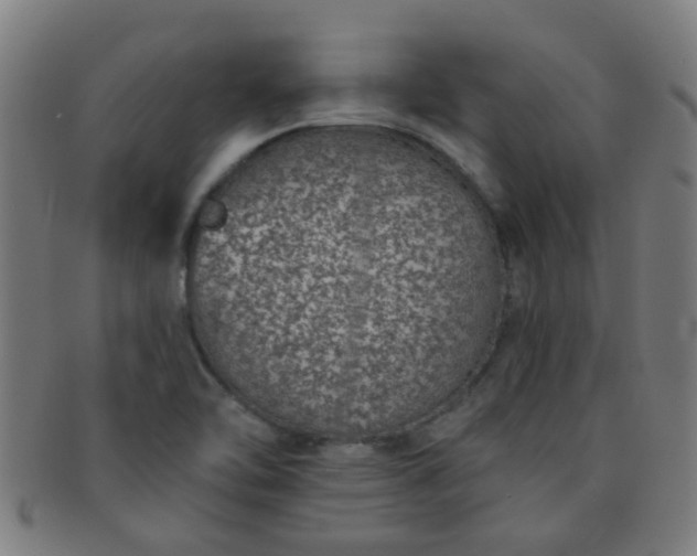 X0000091371462200708241322