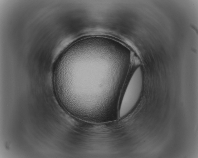 X0000091371464200708241322