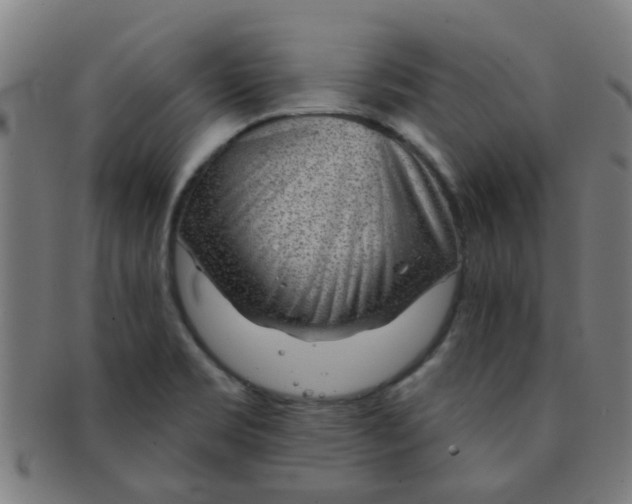 X0000091371469200708241322