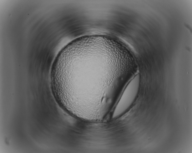 X0000091371471200708241322