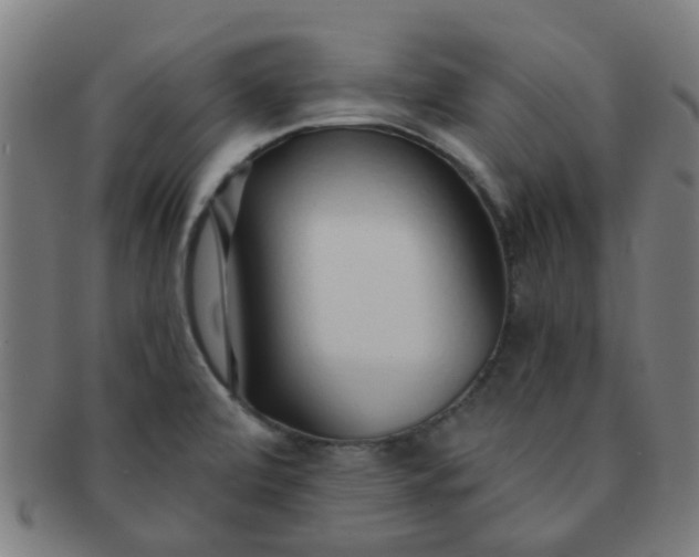 X0000091371472200708241322