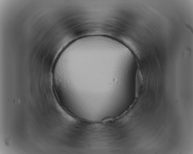 X0000091371476200708241322