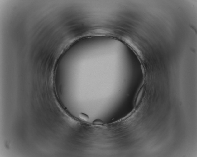 X0000091371477200708241322