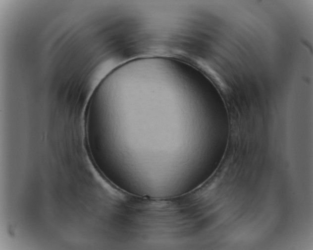 X0000091371479200708241322