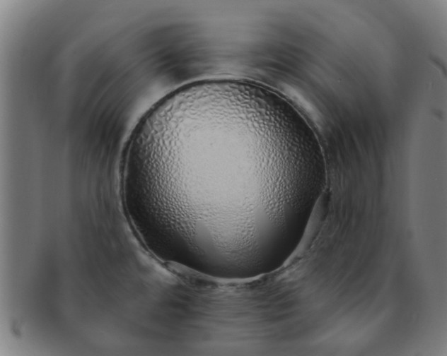 X0000091371480200708241322