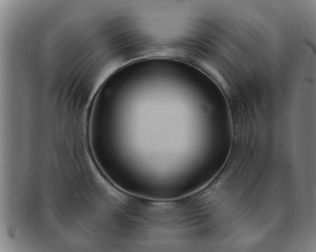 X0000091371483200708241322