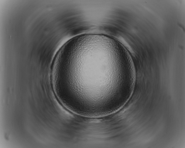 X0000091371484200708241322