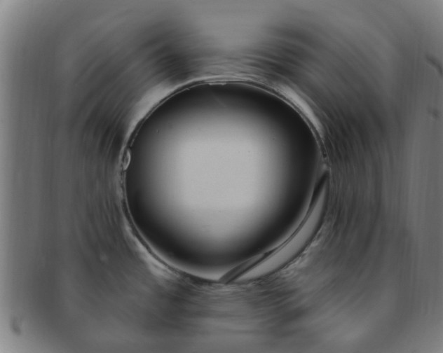 X0000091371485200708241322