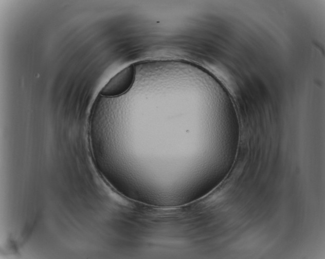 X0000091371486200708241322