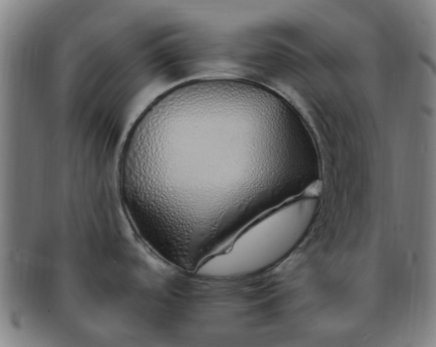 X0000091371488200708241322