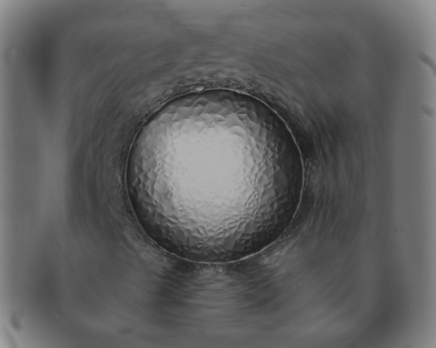 X0000091371489200708241321