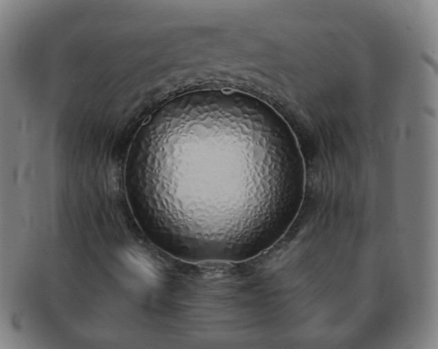 X0000091371490200708241321