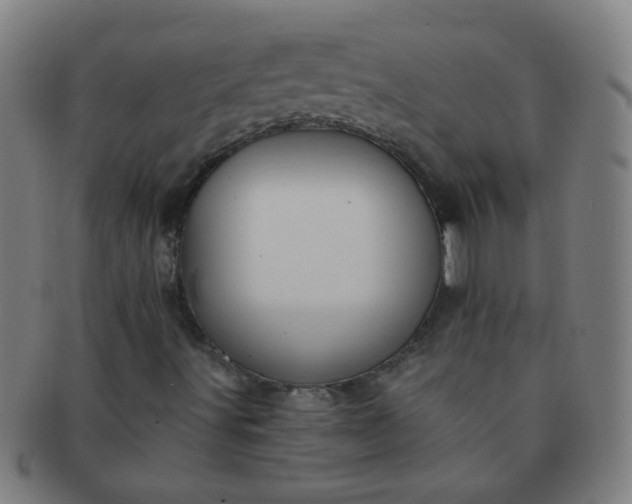 X0000091371491200708241321