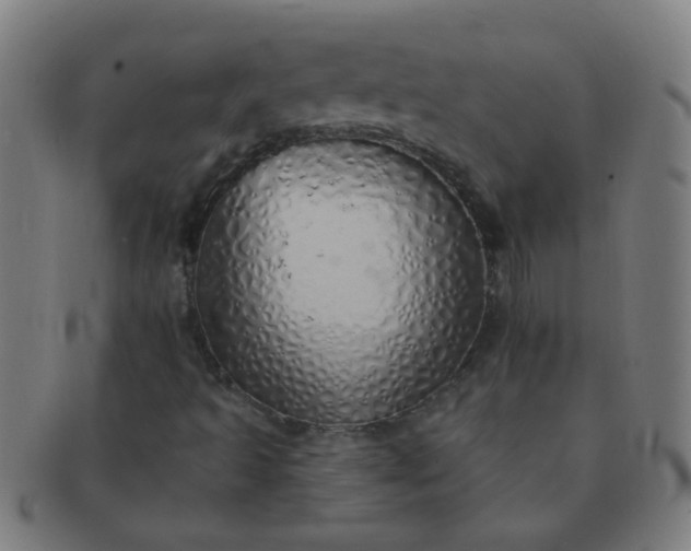 X0000091371493200708241321