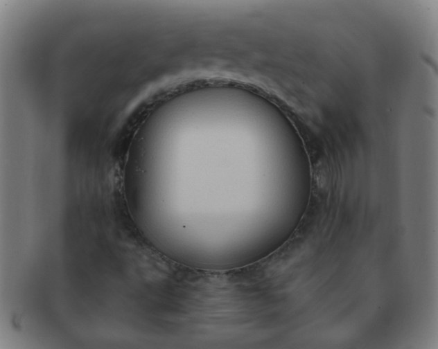 X0000091371495200708241321