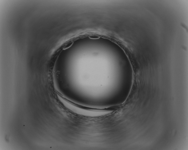 X0000091371496200708241321