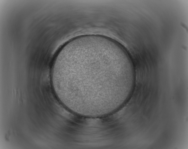 X0000091371498200708241321