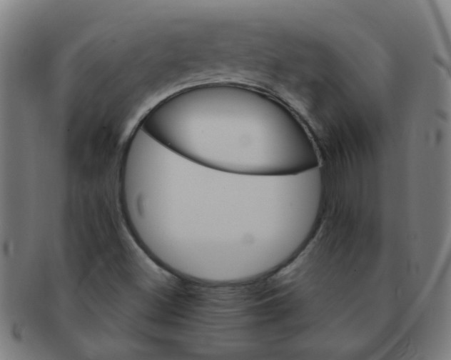 X0000091371500200708241321