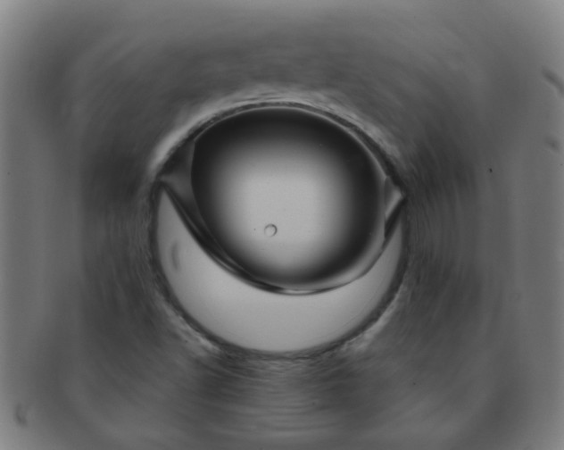 X0000091371502200708241321