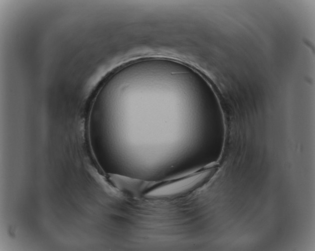 X0000091371503200708241321