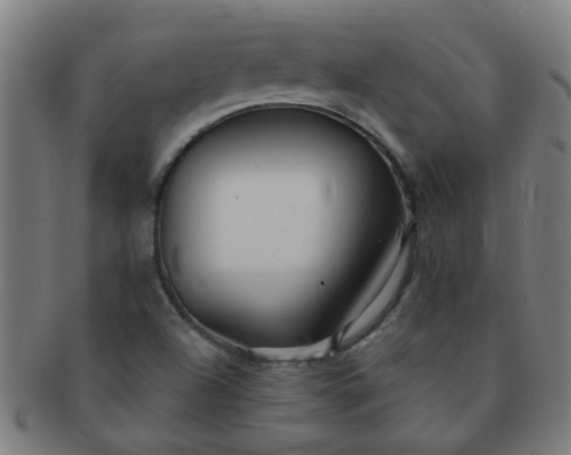 X0000091371504200708241321