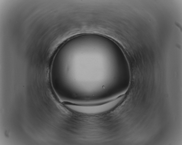 X0000091371507200708241321