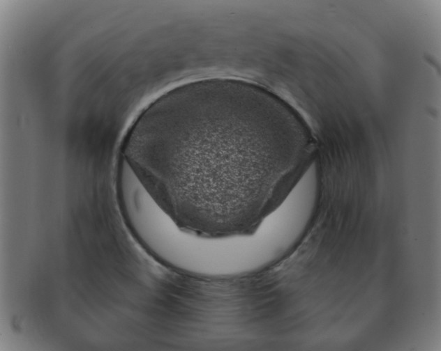 X0000091371508200708241321