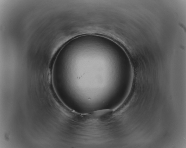 X0000091371509200708241321