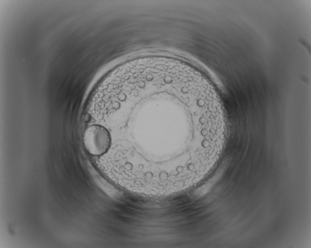 X0000091371514200708241321