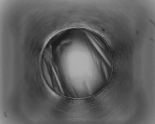 X0000091371519200708241321