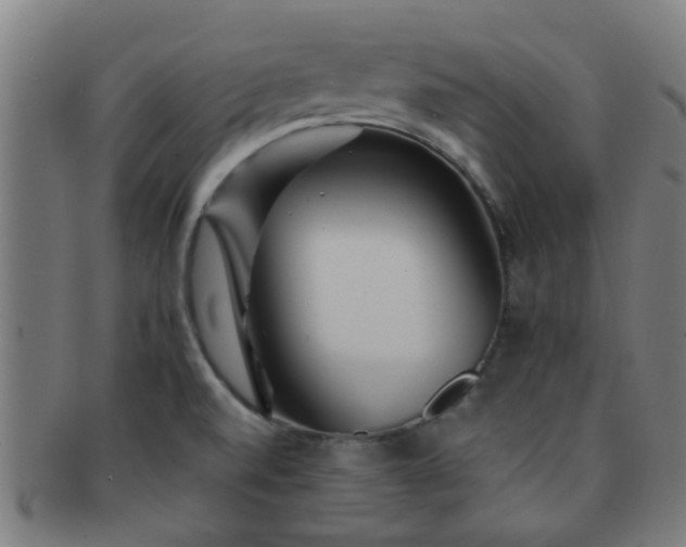 X0000091371520200708241321