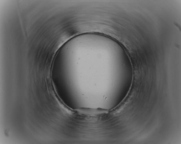 X0000091371521200708241321