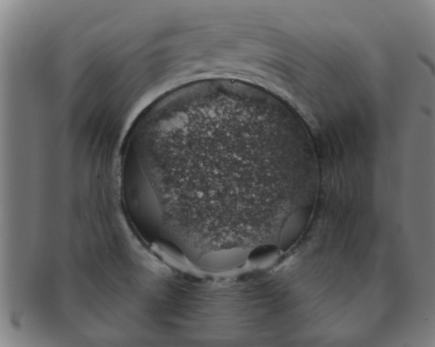 X0000091371522200708241321