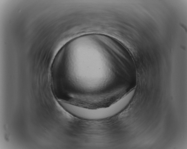 X0000091371527200708241321