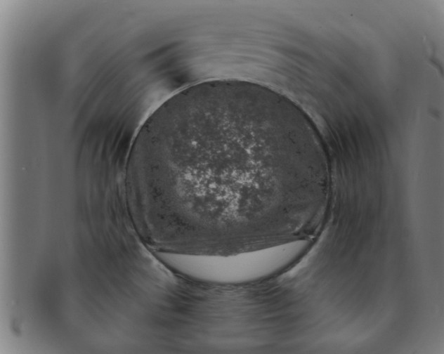 X0000091371529200708241322