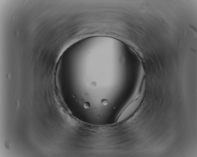 X0000091371530200708241322