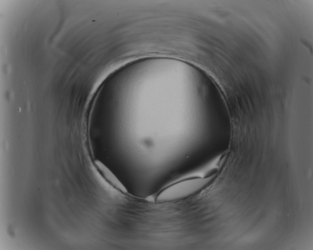 X0000091371531200708241322