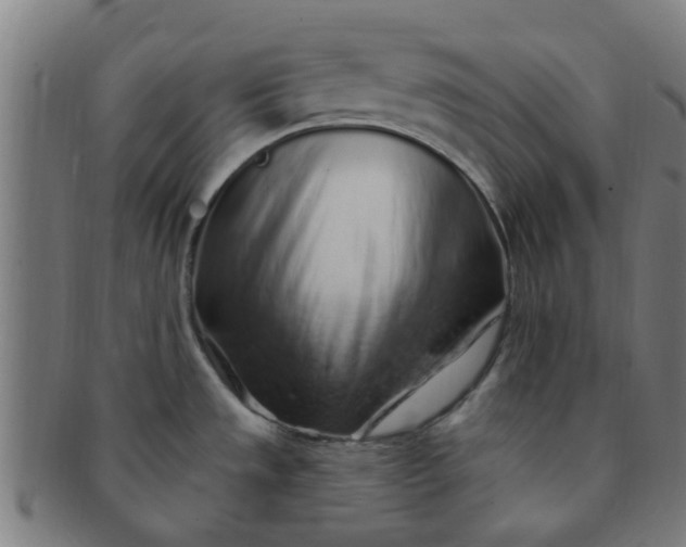 X0000091371533200708241322