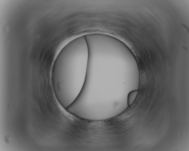 X0000091371535200708241322