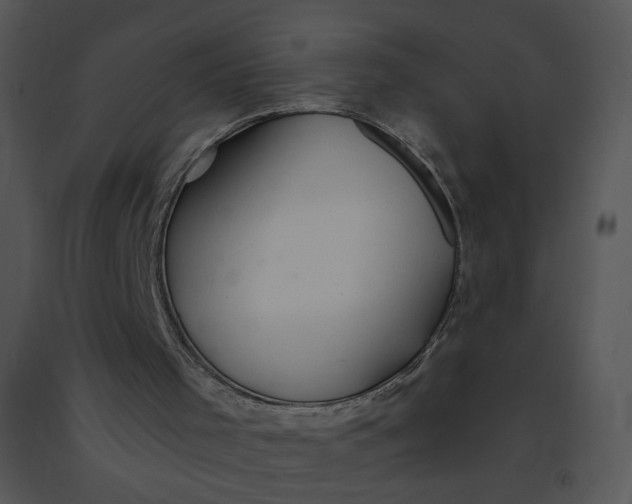 X0000091370001200708311535