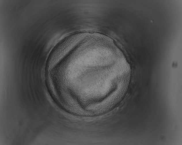 X0000091370002200708311535