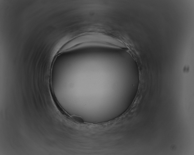 X0000091370003200708311535