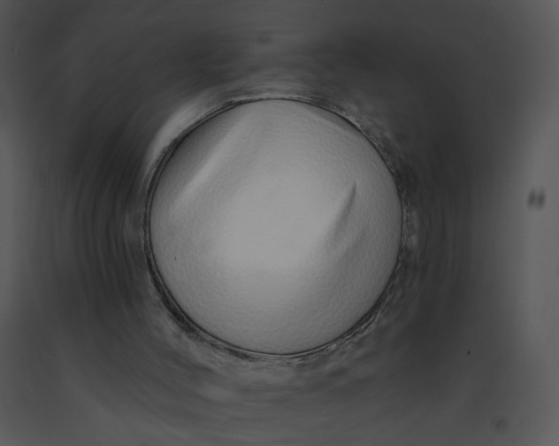 X0000091370004200708311535