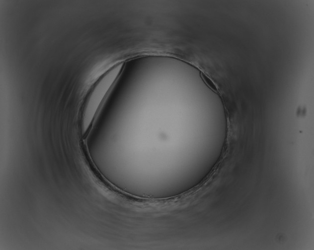 X0000091370005200708311535