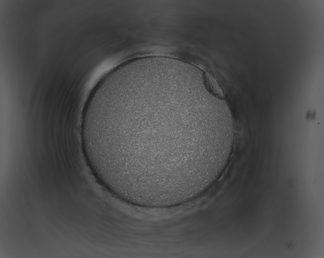 X0000091370006200708311535