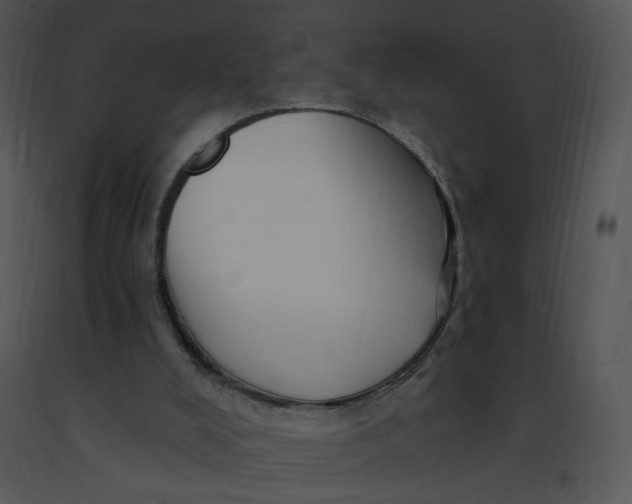 X0000091370008200708311535