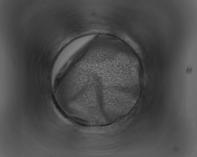 X0000091370009200708311535